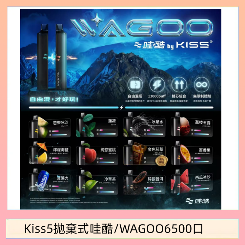 Kis5 6500 WAGOO哇酷Kiss5 6500口拋棄式 | 自由混搭雙口味 | 雙芯組合