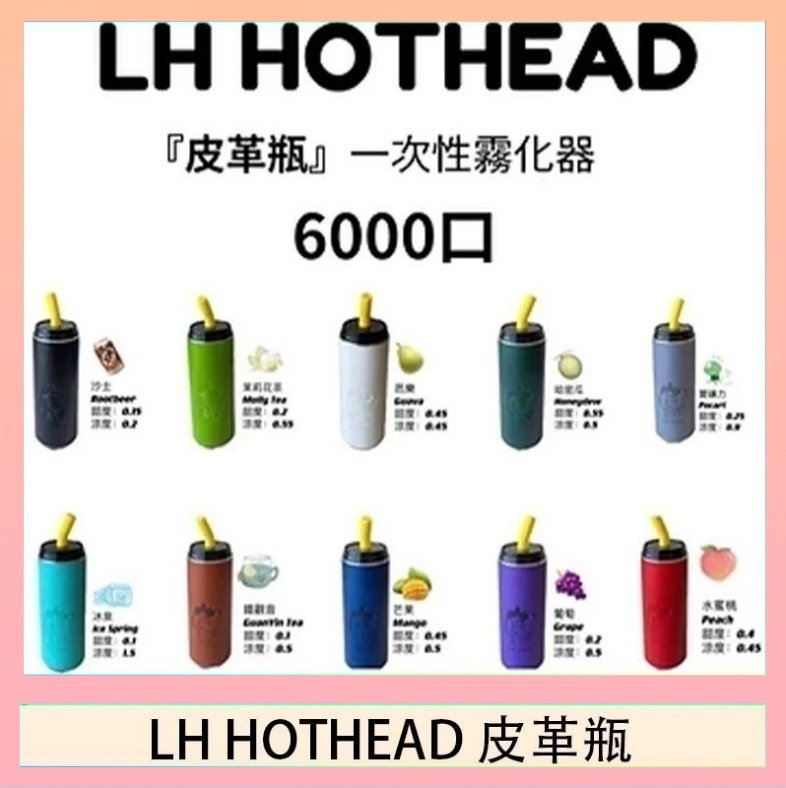 LH HOTHEAD皮革 LH HOTHEAD皮革瓶電子煙可充電6000口一次性